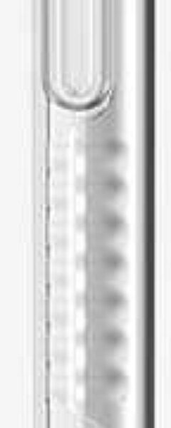 Tech21 Pure Clear coque de protection pour téléphones portables 15,8 cm (6.2") Housse Transparent