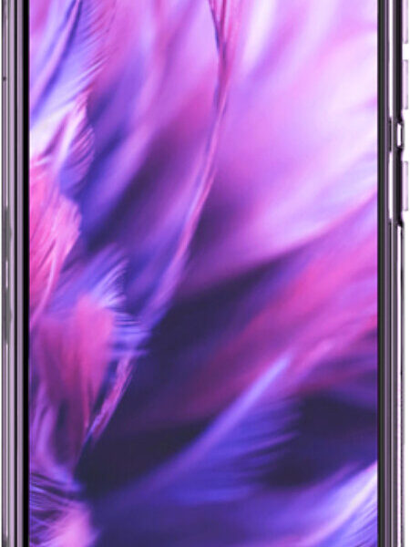 Coque Samsung Galaxy A10 A Violet par Araree