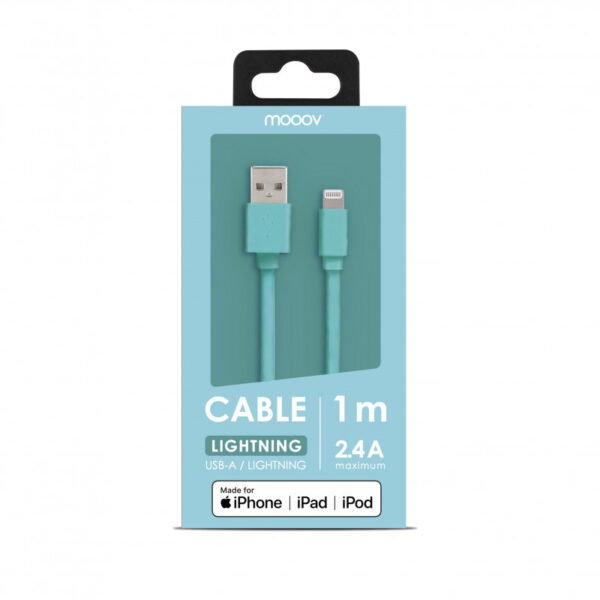 Câble MFI / USB-A plat pour iPhone iPad 1 m - vert peppermint